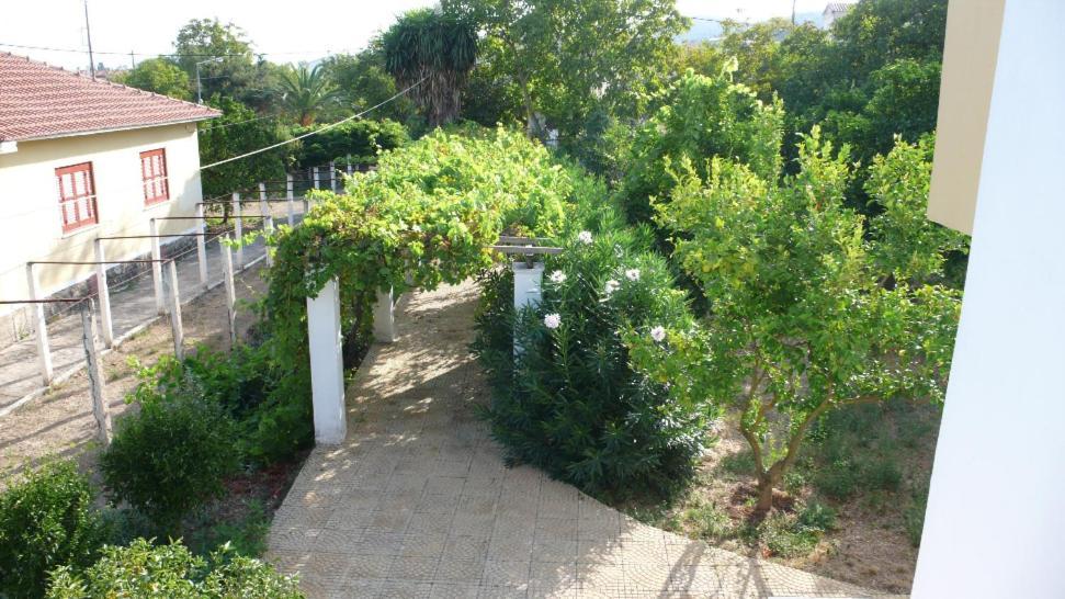 אצ'ארבי Socrates Studios מראה חיצוני תמונה