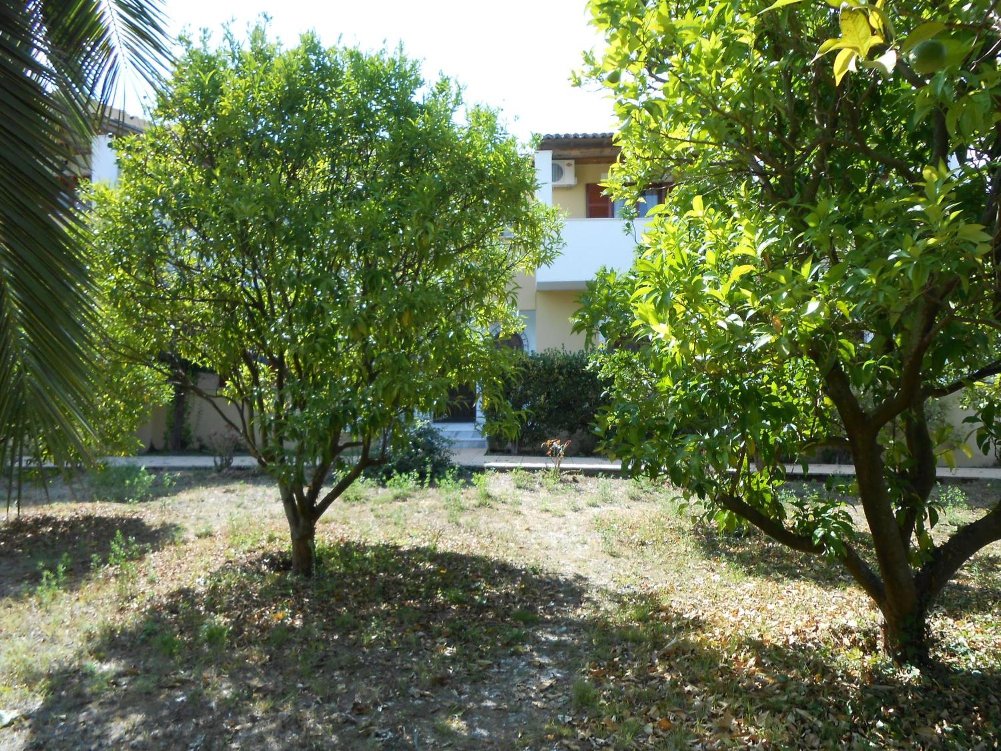 אצ'ארבי Socrates Studios מראה חיצוני תמונה
