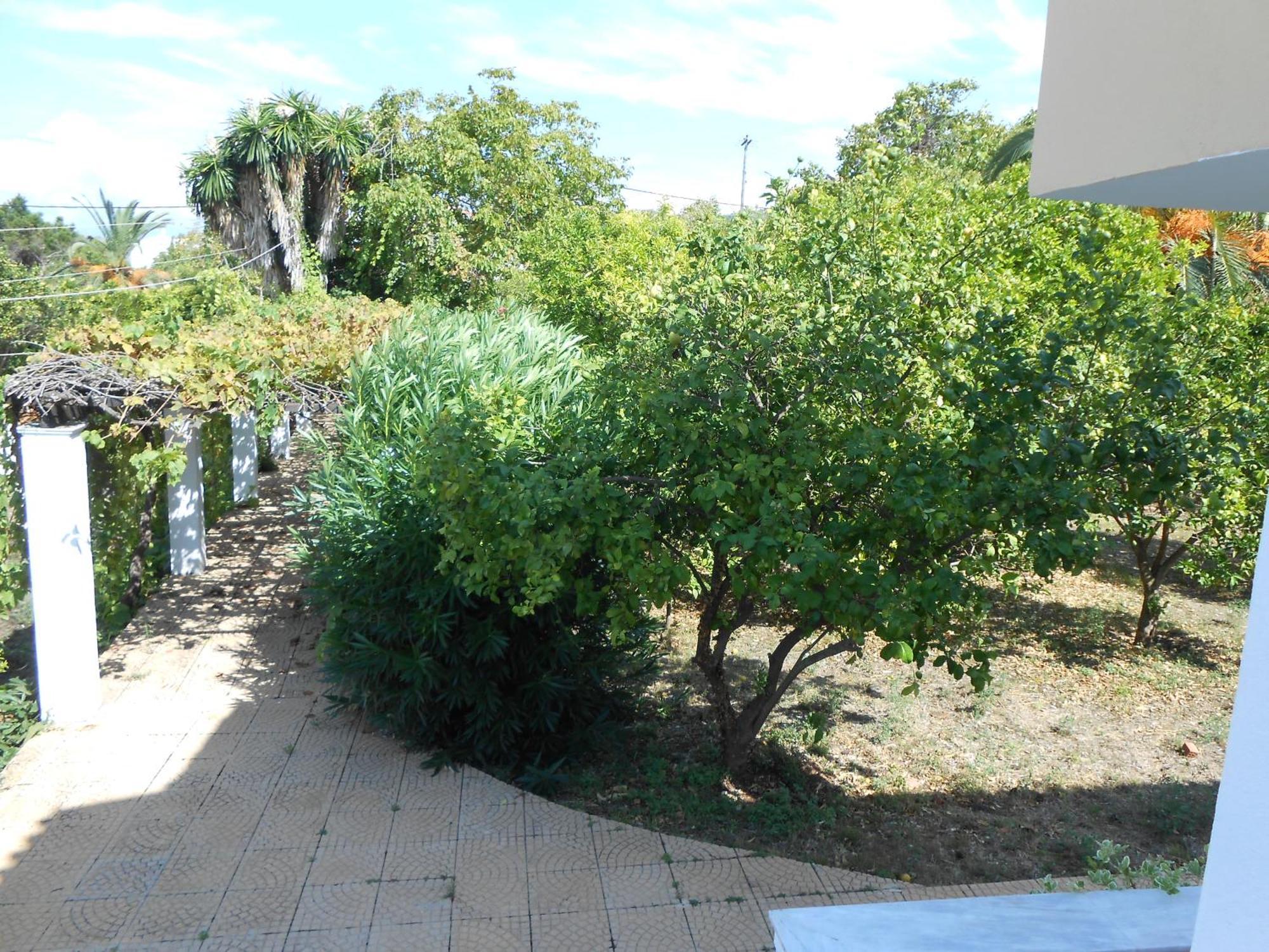 אצ'ארבי Socrates Studios מראה חיצוני תמונה